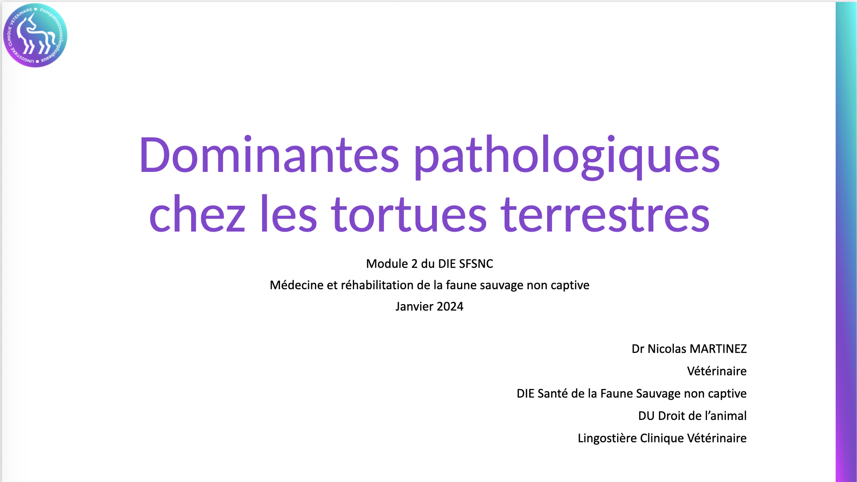Pathologie Tortues