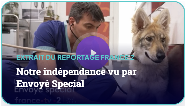 Dr Nicolas MARTINEZ vétérinaire indépendant - Envoyé Spécial -
