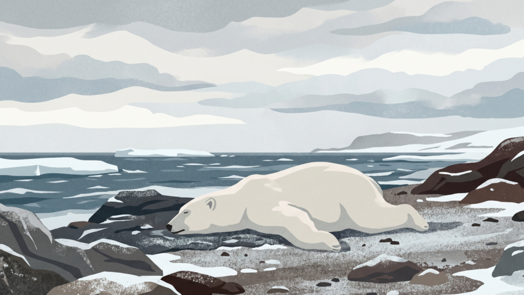 Un ours polaire mort de la grippe avaire H5N1 en Norvège