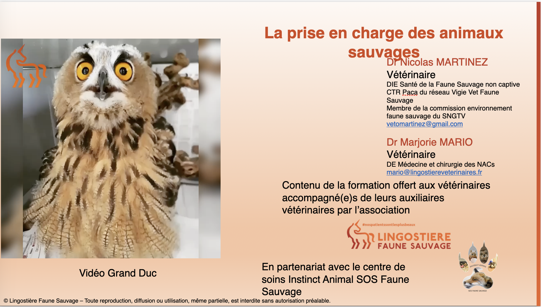 Formation vétérinaires