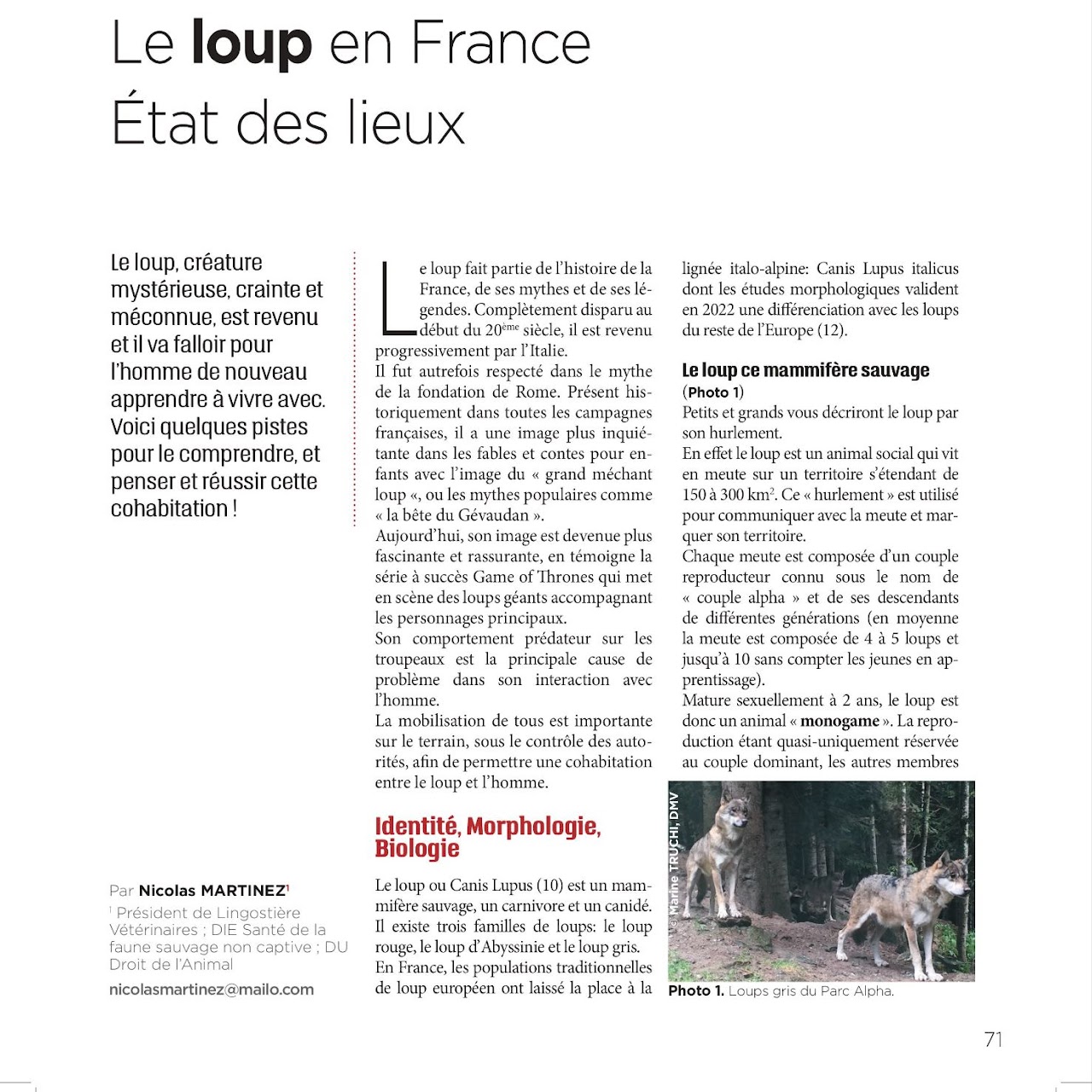 Loup GTV