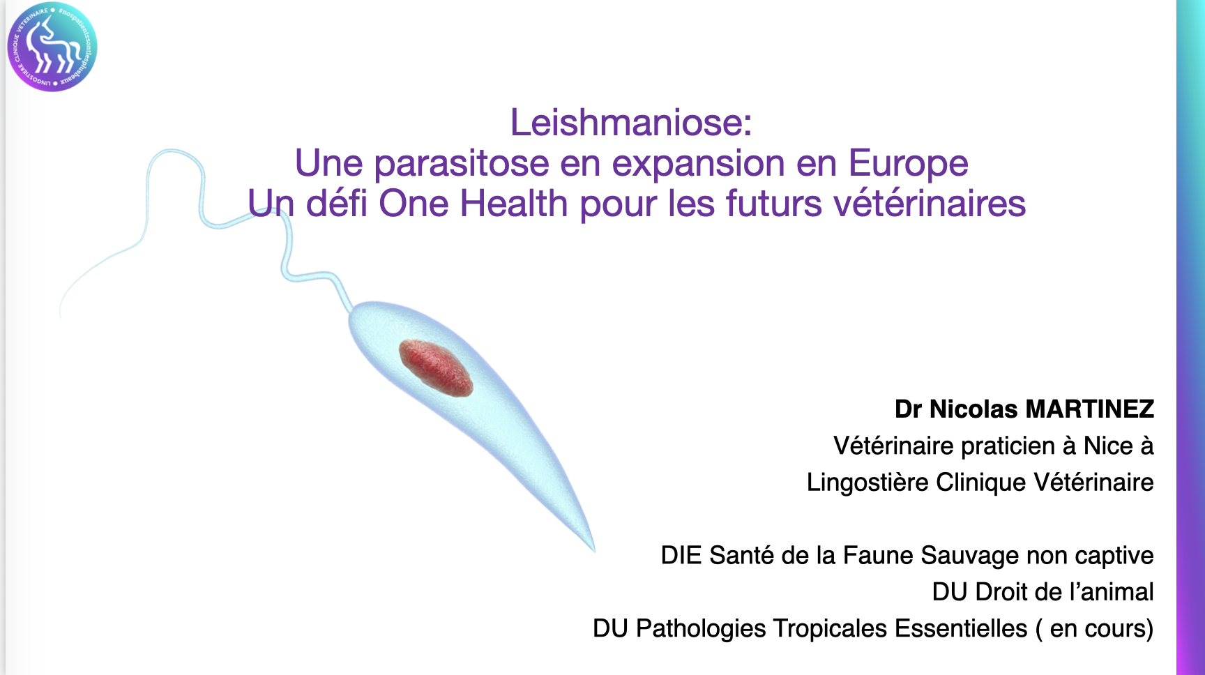 Leishmaniose One Health
