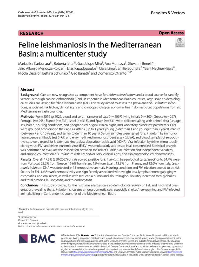 Leishmaniose féline