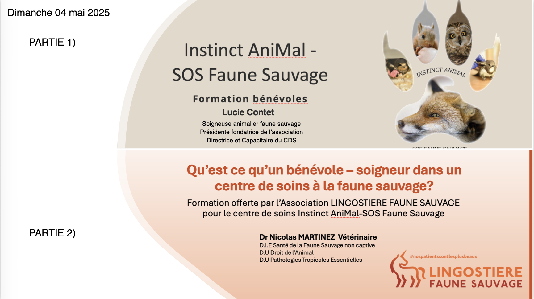 Formation soigneurs
