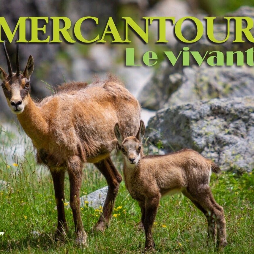 Livre Mercantour