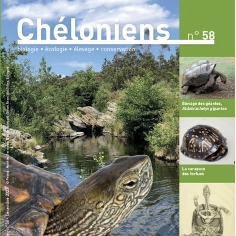 Revue Chéloniens
