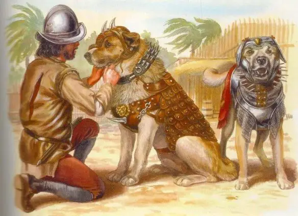 Illustration historique représentant un chien et un conquistador - Dr Nicolas MARTINEZ vétérinaire