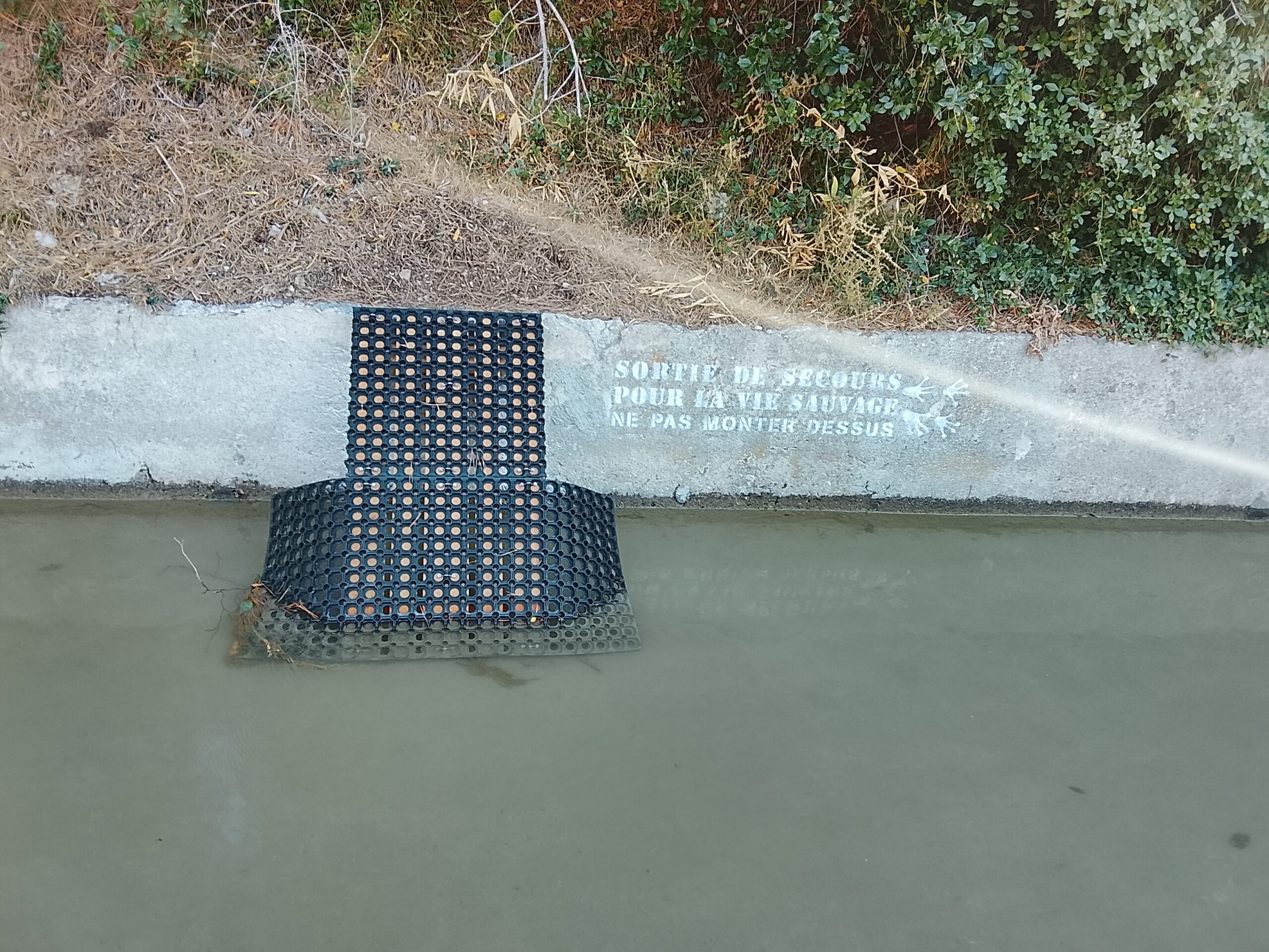 Sortie de secours pour la vie sauvage aménagée au canal de Gairaut à Nice