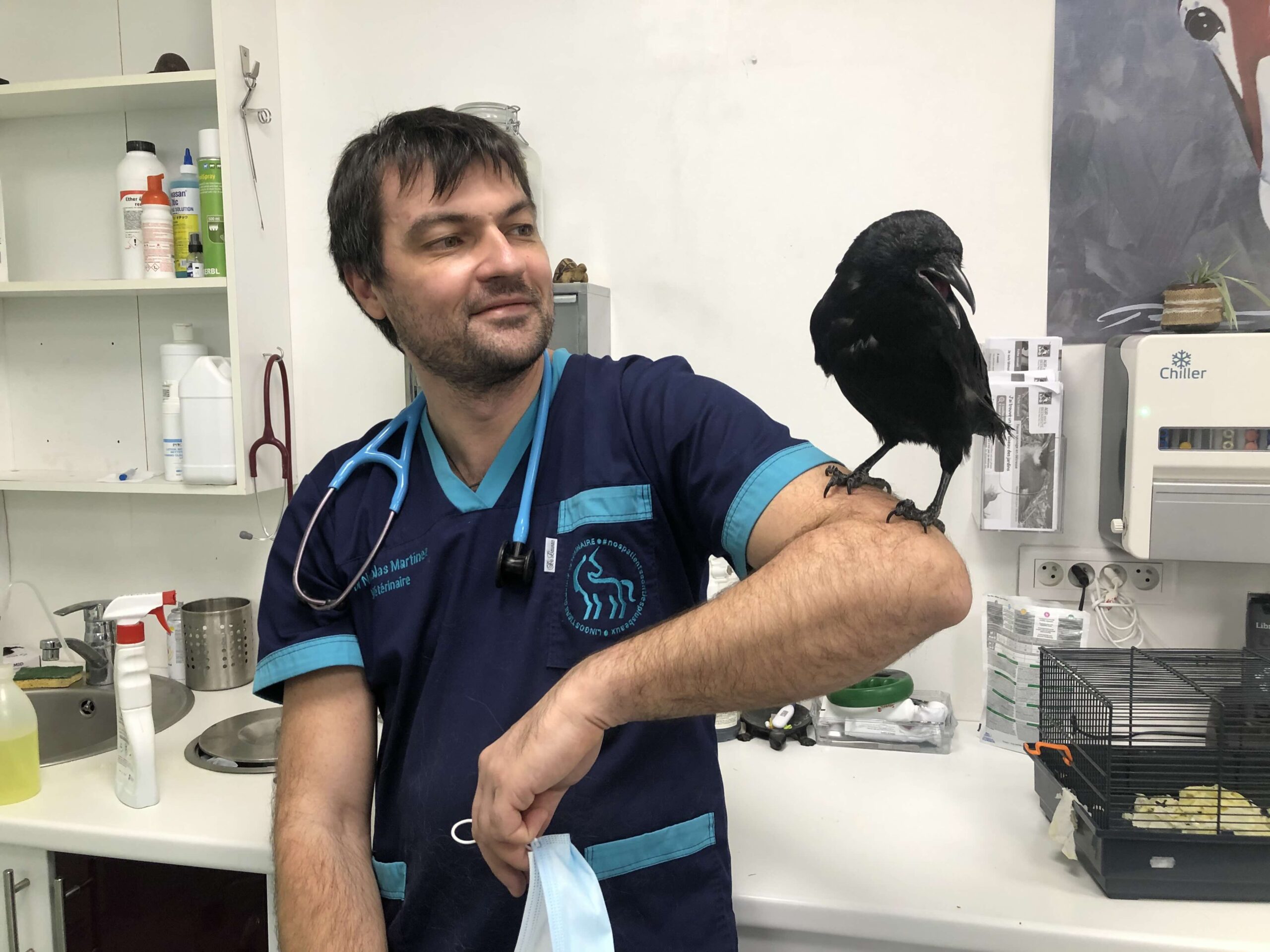 Dr Nicolas Martinez vétérinaire avec une corneille